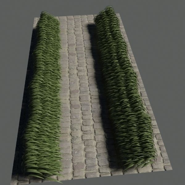 3D Plant Collection 1 garden with grasses and flowers 3D model_13