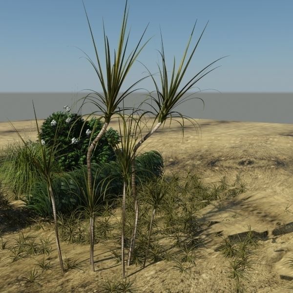 3D Plant Collection 1 garden with grasses and flowers 3D model_17