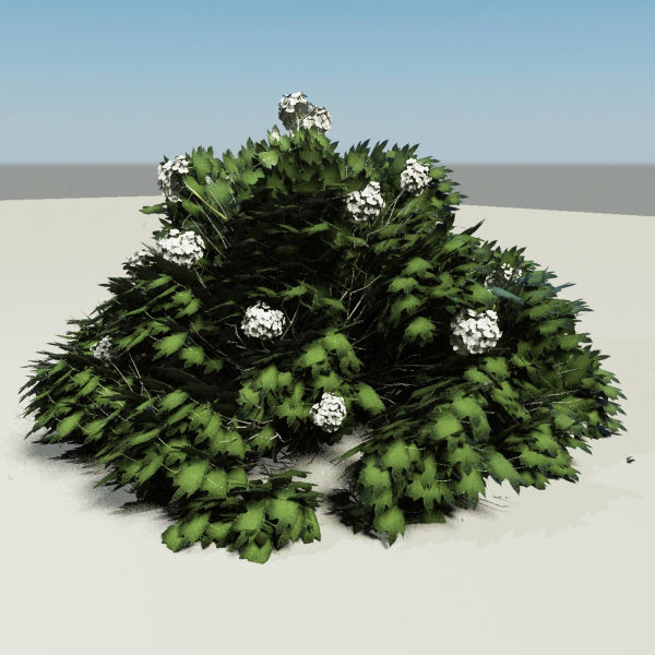 3D Plant Collection 1 garden with grasses and flowers 3D model_14