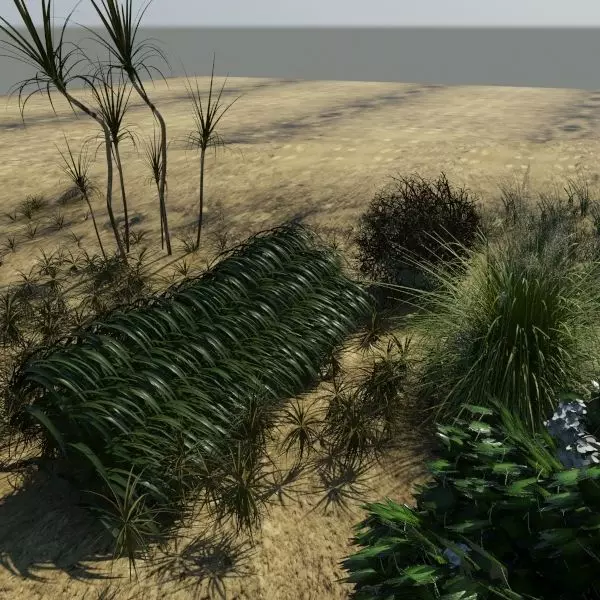 3D Plant Collection 1 garden with grasses and flowers 3D model_0