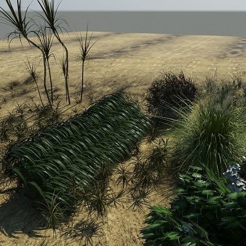 3D Plant Collection 1 garden with grasses and flowers 3D model