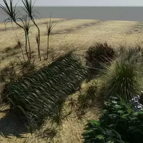 3D Plant Collection 1 garden with grasses and flowers