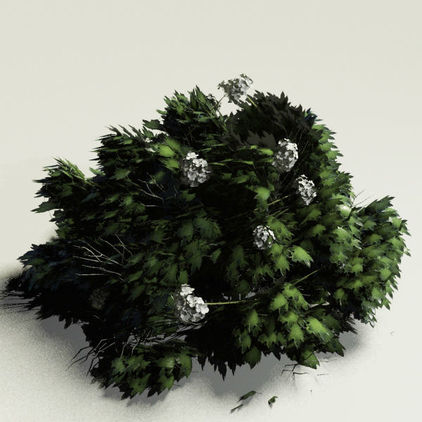 3D Plant Collection 1 garden with grasses and flowers 3D model_10