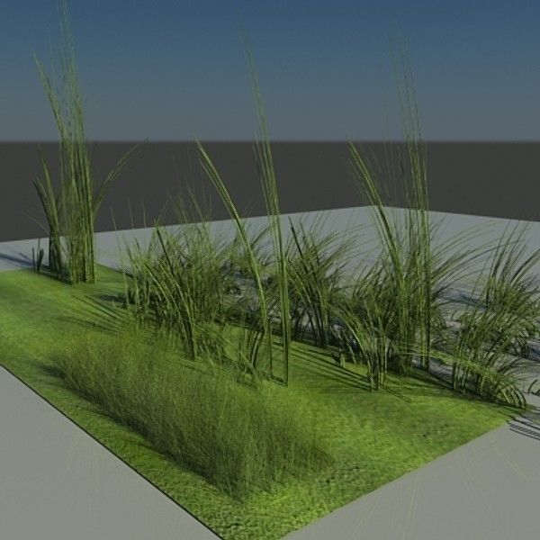 3D Plant Collection 1 garden with grasses and flowers 3D model_11