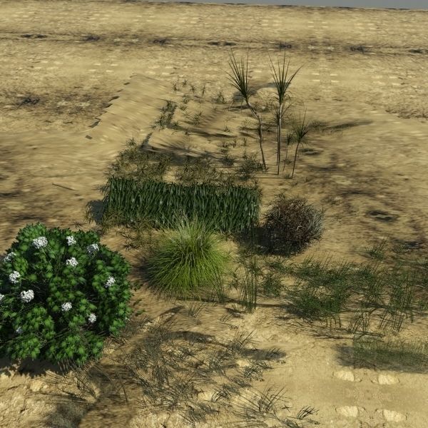3D Plant Collection 1 garden with grasses and flowers 3D model_12