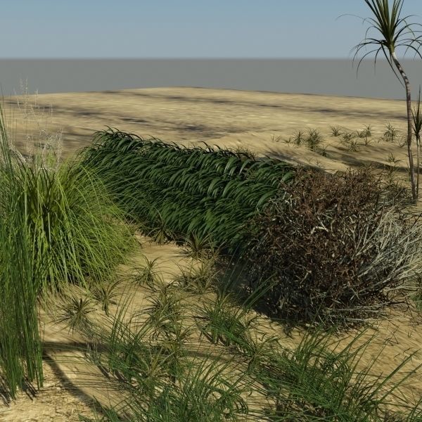 3D Plant Collection 1 garden with grasses and flowers 3D model_1