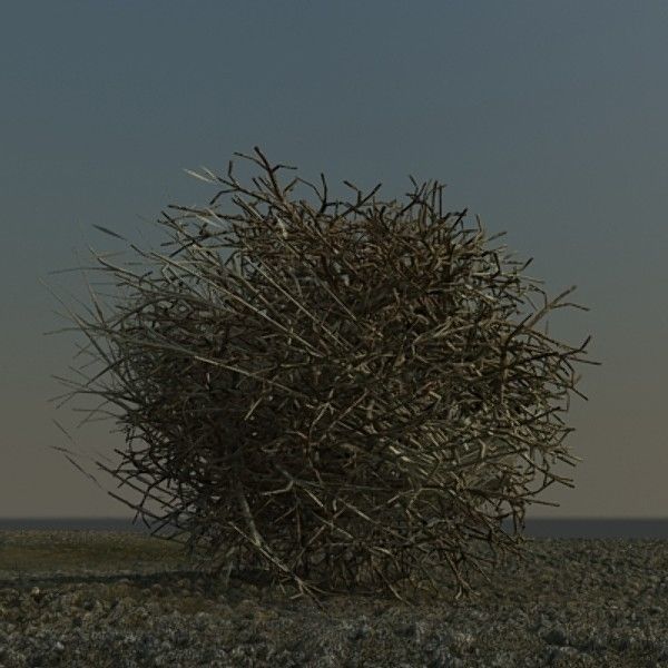 3D Plant Collection 1 garden with grasses and flowers 3D model_19