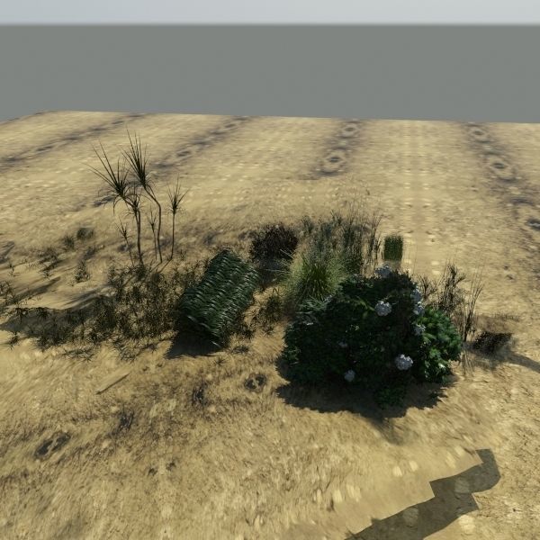 3D Plant Collection 1 garden with grasses and flowers 3D model_4