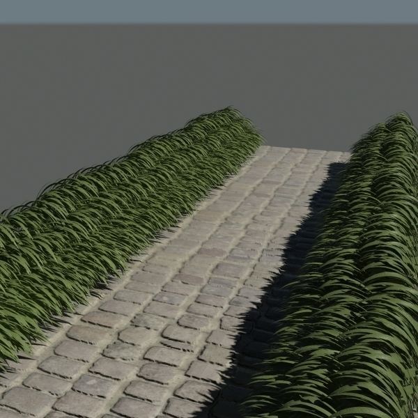 3D Plant Collection 1 garden with grasses and flowers 3D model_9