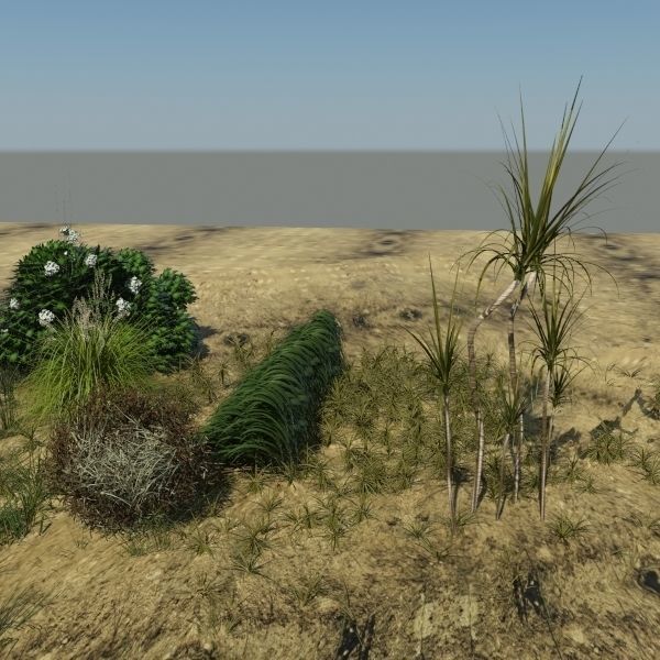 3D Plant Collection 1 garden with grasses and flowers 3D model_3