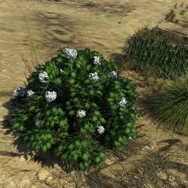 3D Plant Collection 1 garden with grasses and flowers 3D model_15