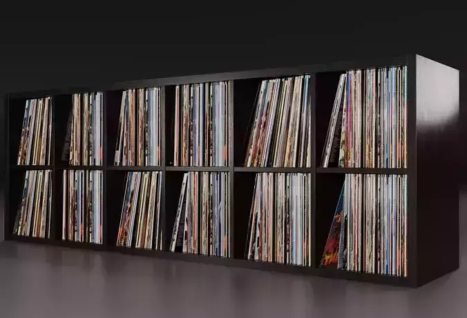 Vinyl Storage No12