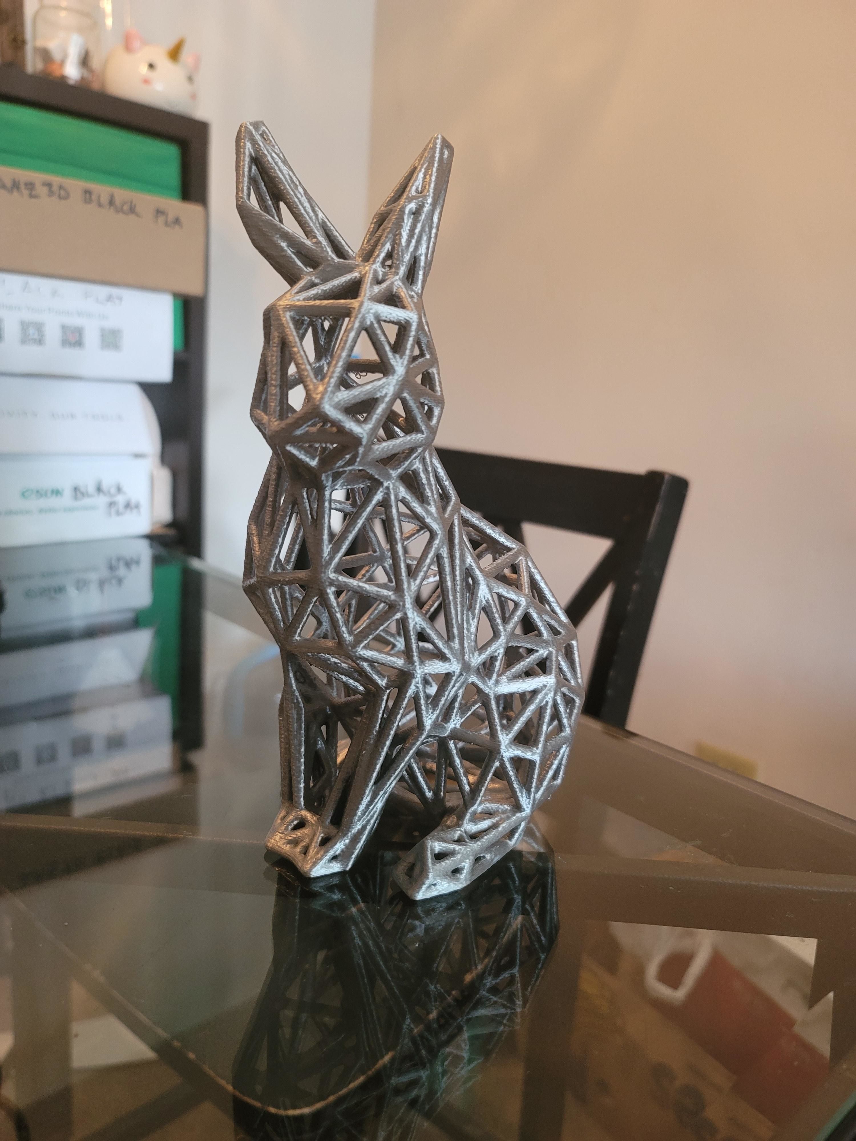 Wireframe Bunny Rabbit Model 3D print model_4