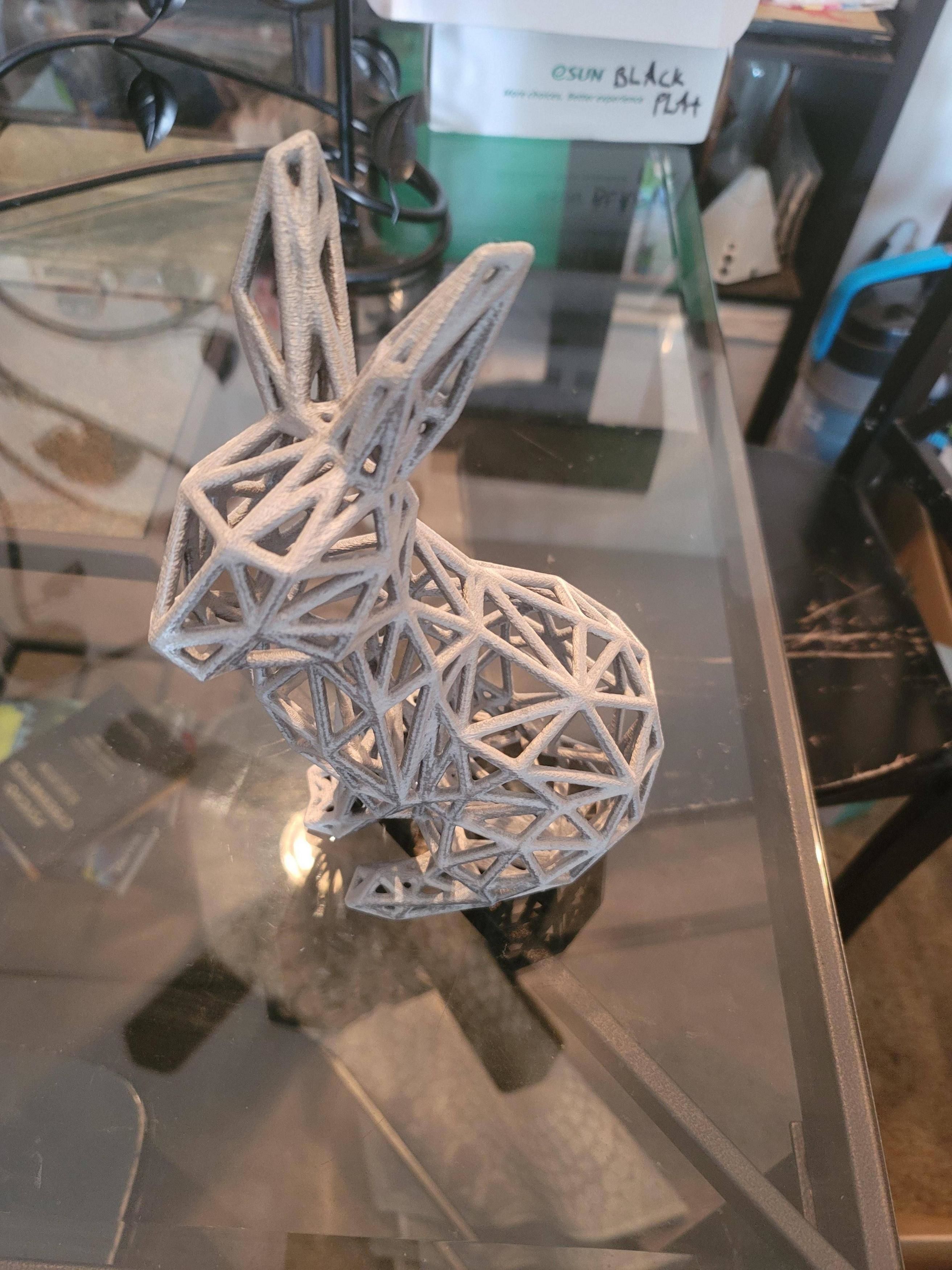 Wireframe Bunny Rabbit Model 3D print model_2