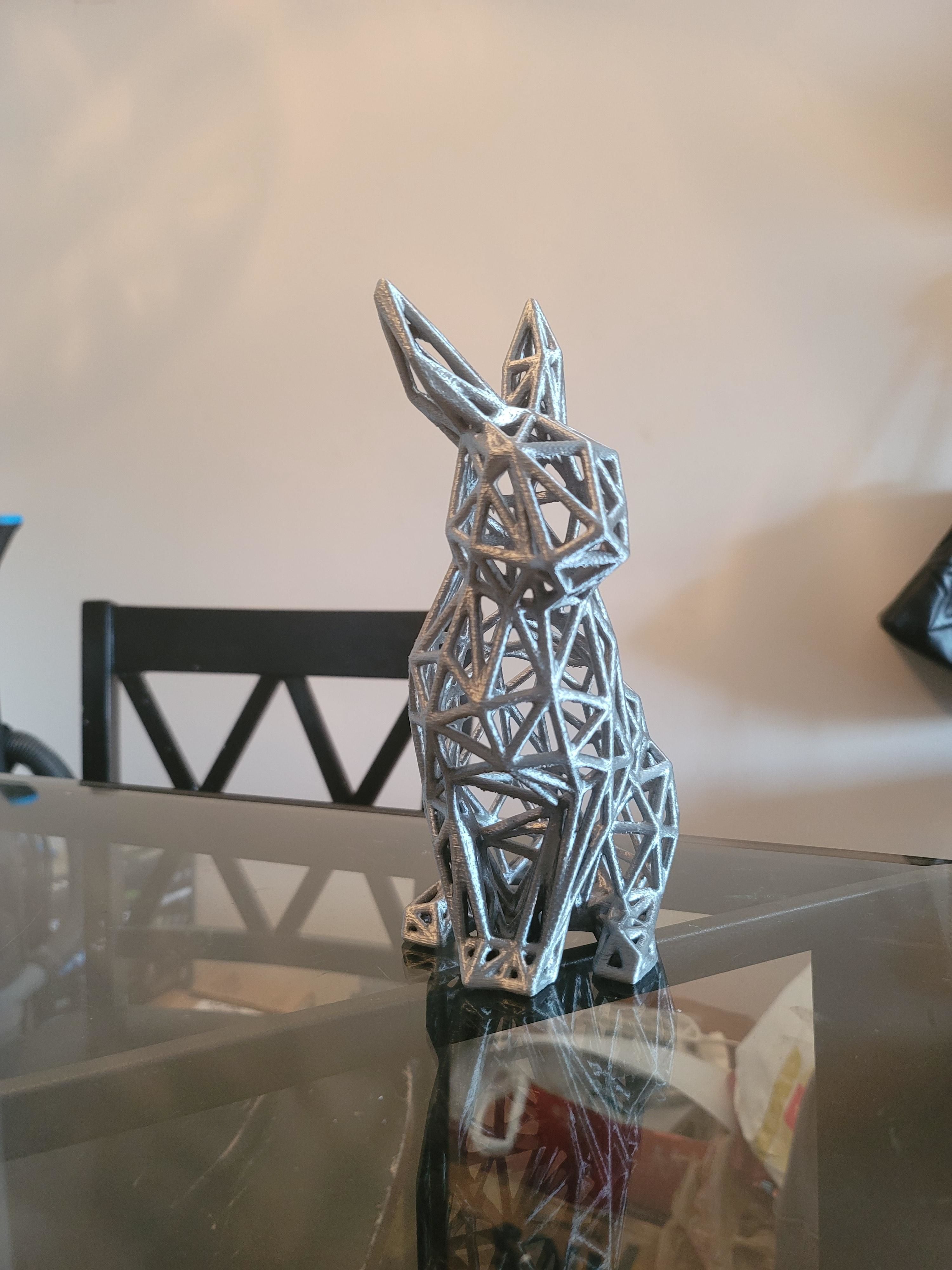 Wireframe Bunny Rabbit Model 3D print model_1