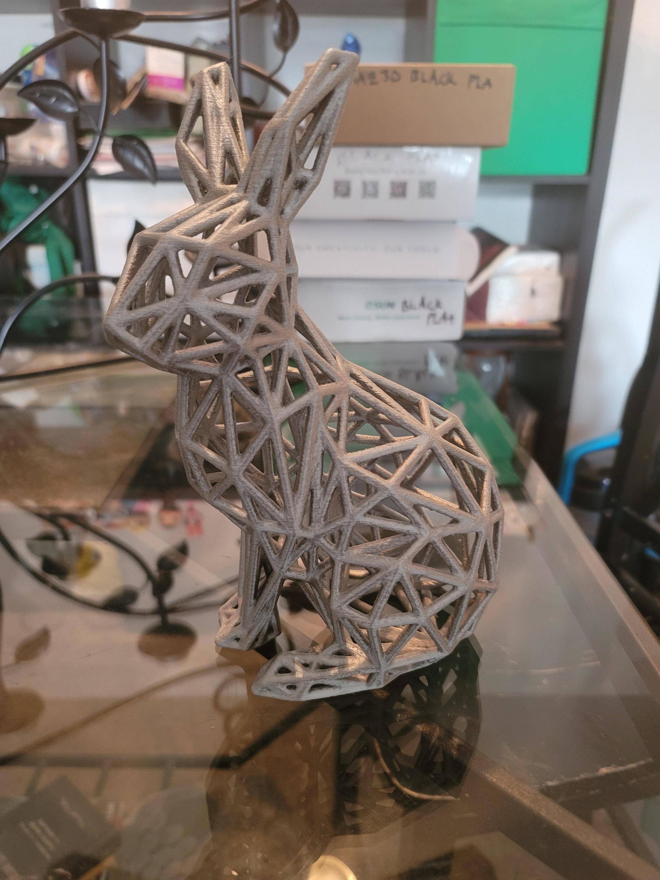 Wireframe Bunny Rabbit Model 3D print model_3