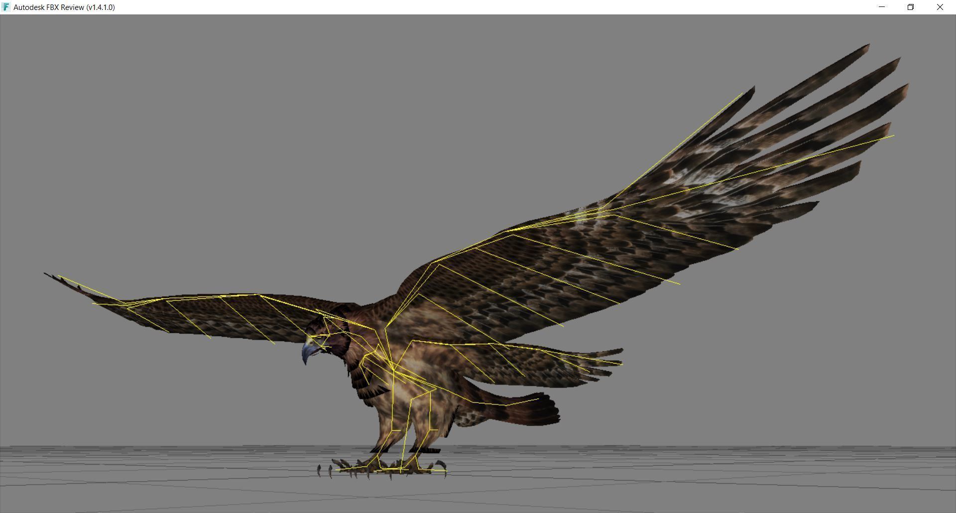 Animal  - Bird eagle Low-poly 3D model_4