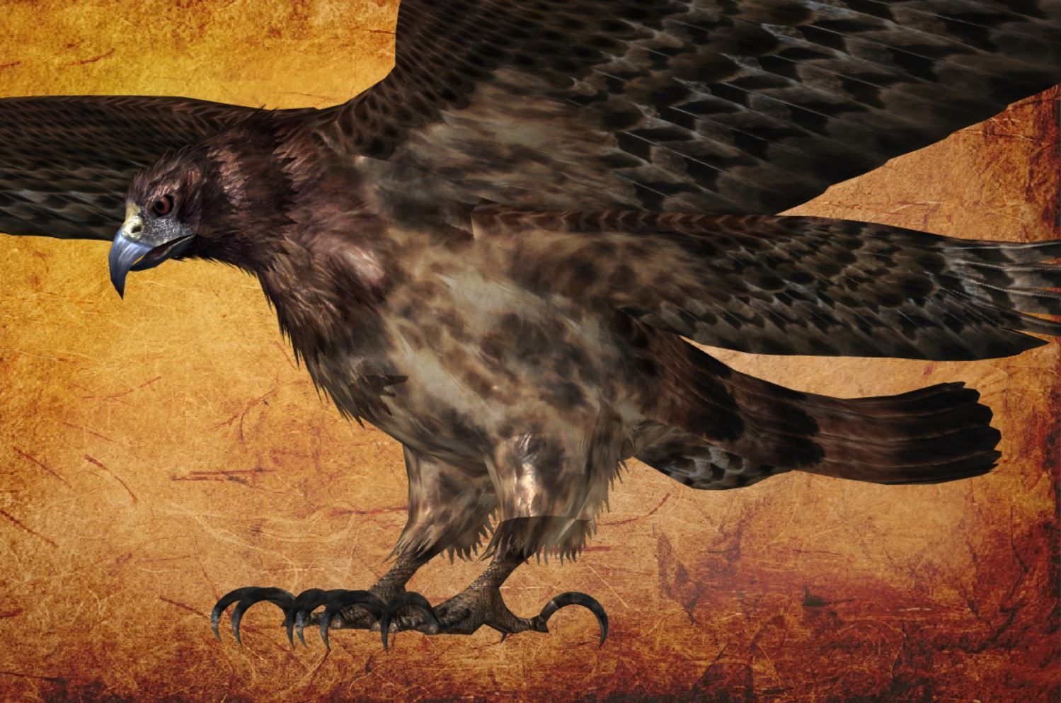 Animal  - Bird eagle Low-poly 3D model_12