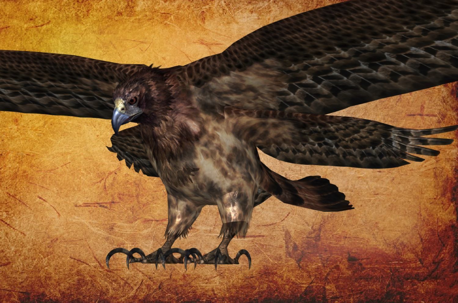 Animal  - Bird eagle Low-poly 3D model_9