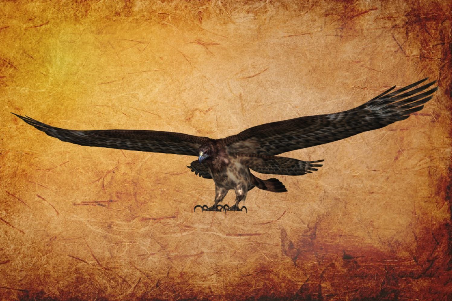 Animal  - Bird eagle Low-poly 3D model_8