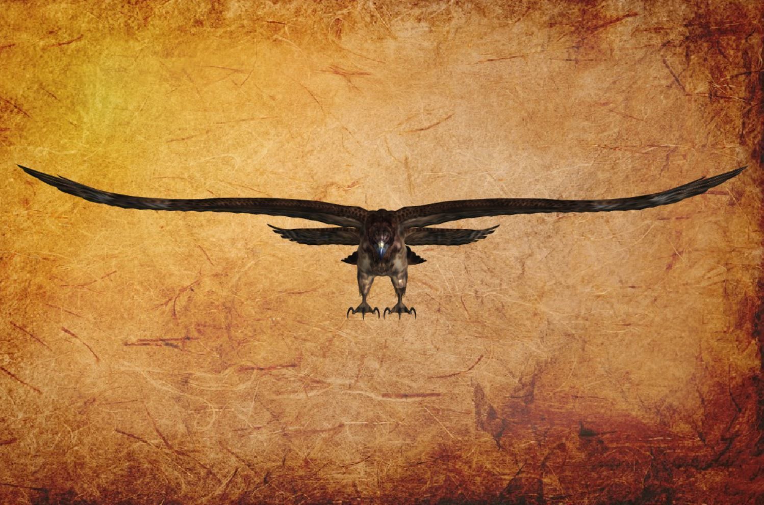 Animal  - Bird eagle Low-poly 3D model_1