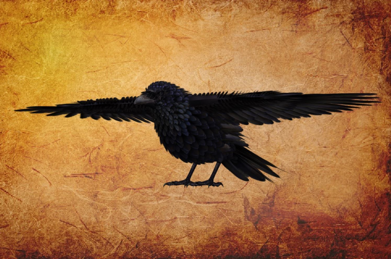 Animal  - Bird raven Low-poly 3D model_11
