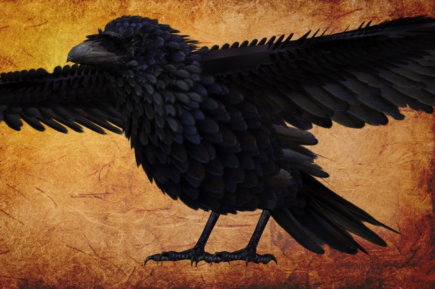 Animal  - Bird raven Low-poly 3D model_14