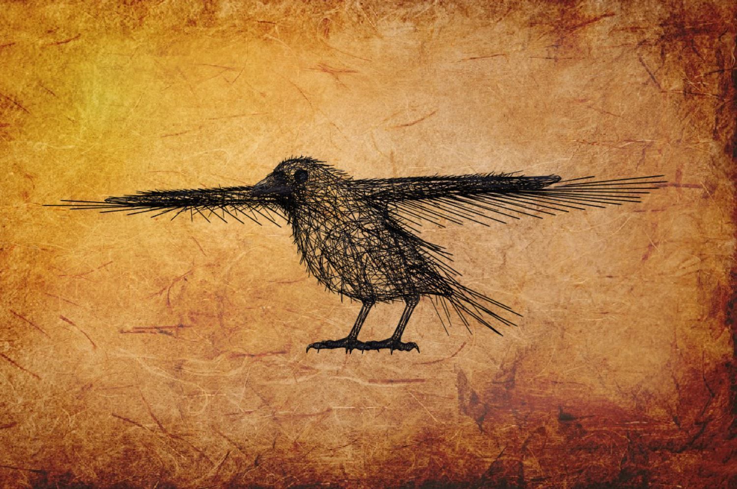 Animal  - Bird raven Low-poly 3D model_13