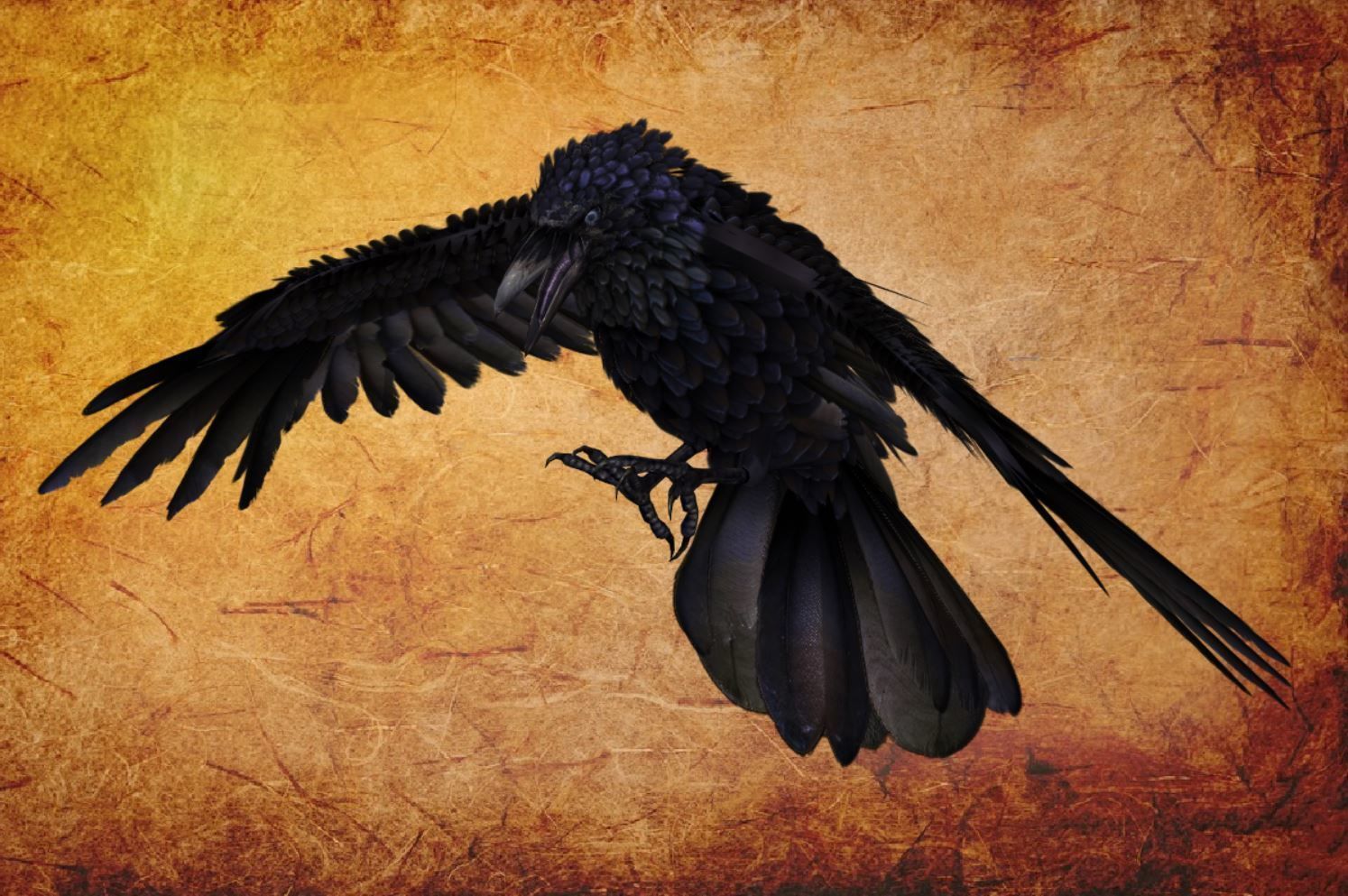 Animal  - Bird raven Low-poly 3D model_9