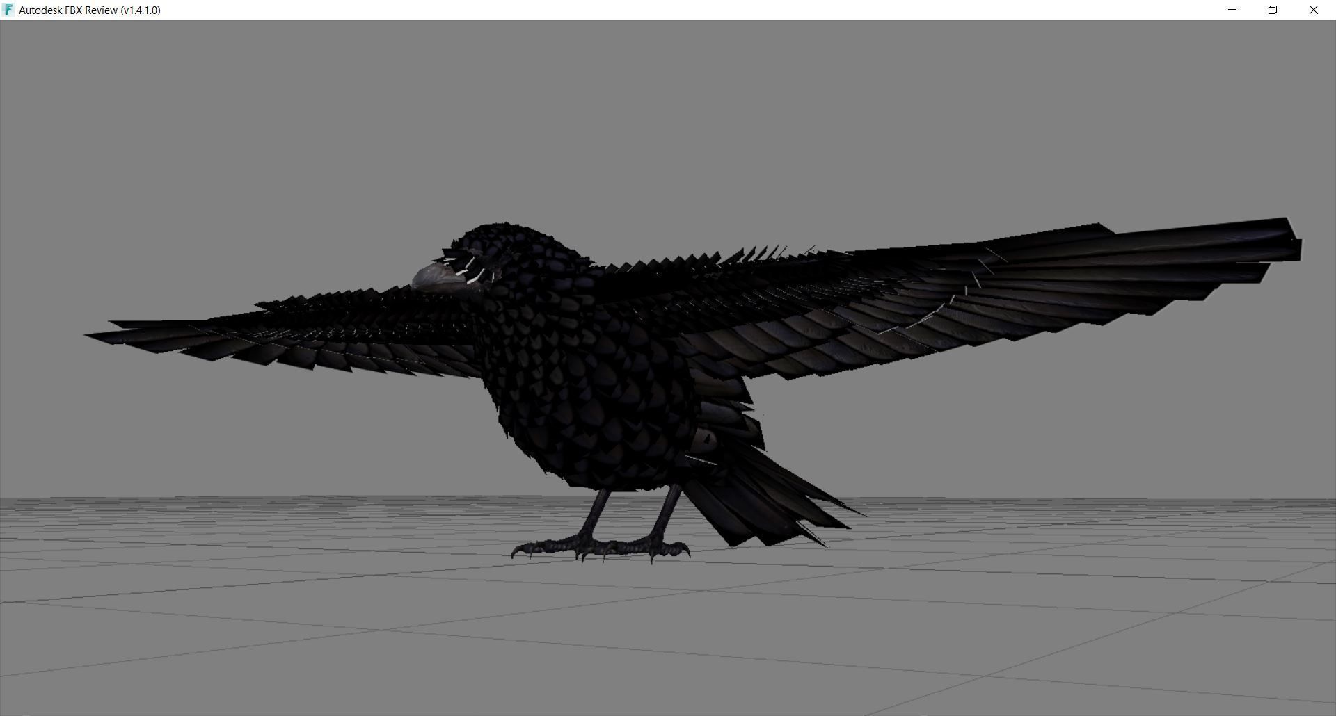 Animal  - Bird raven Low-poly 3D model_4