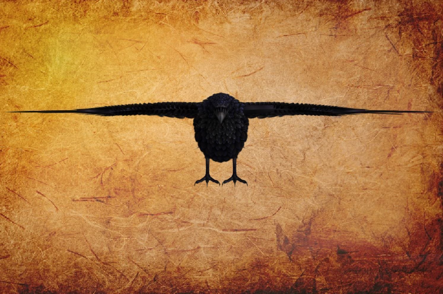 Animal  - Bird raven Low-poly 3D model_1