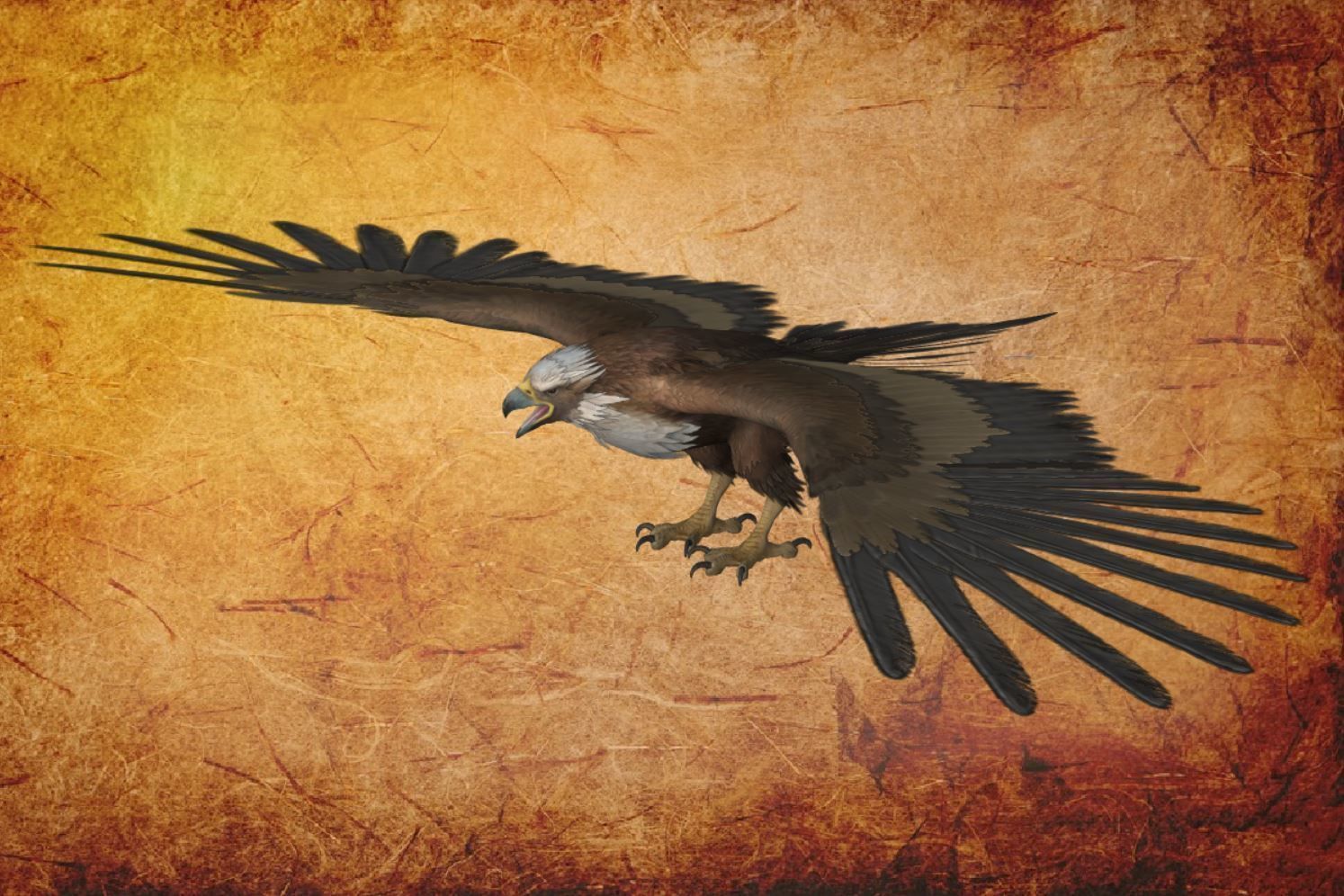 Animal  - Bird Eagle Low-poly 3D model_9