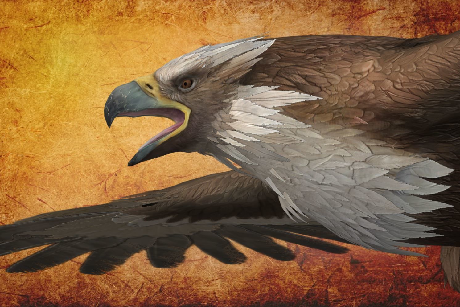 Animal  - Bird Eagle Low-poly 3D model_13