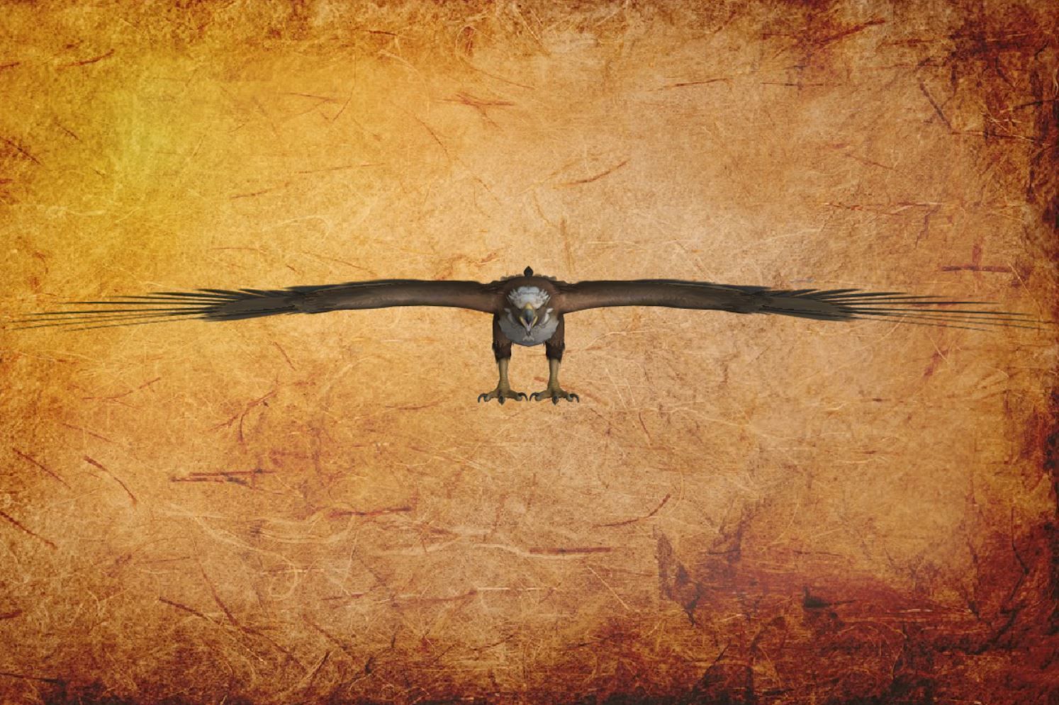 Animal  - Bird Eagle Low-poly 3D model_1