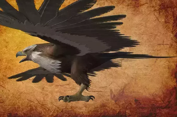 Animal  - Bird Eagle