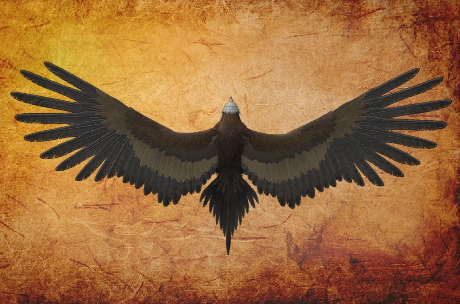 Animal  - Bird Eagle Low-poly 3D model_2