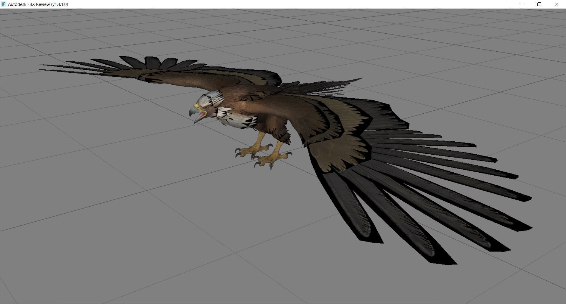 Animal  - Bird Eagle Low-poly 3D model_4