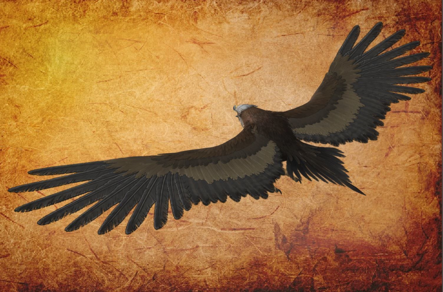 Animal  - Bird Eagle Low-poly 3D model_15