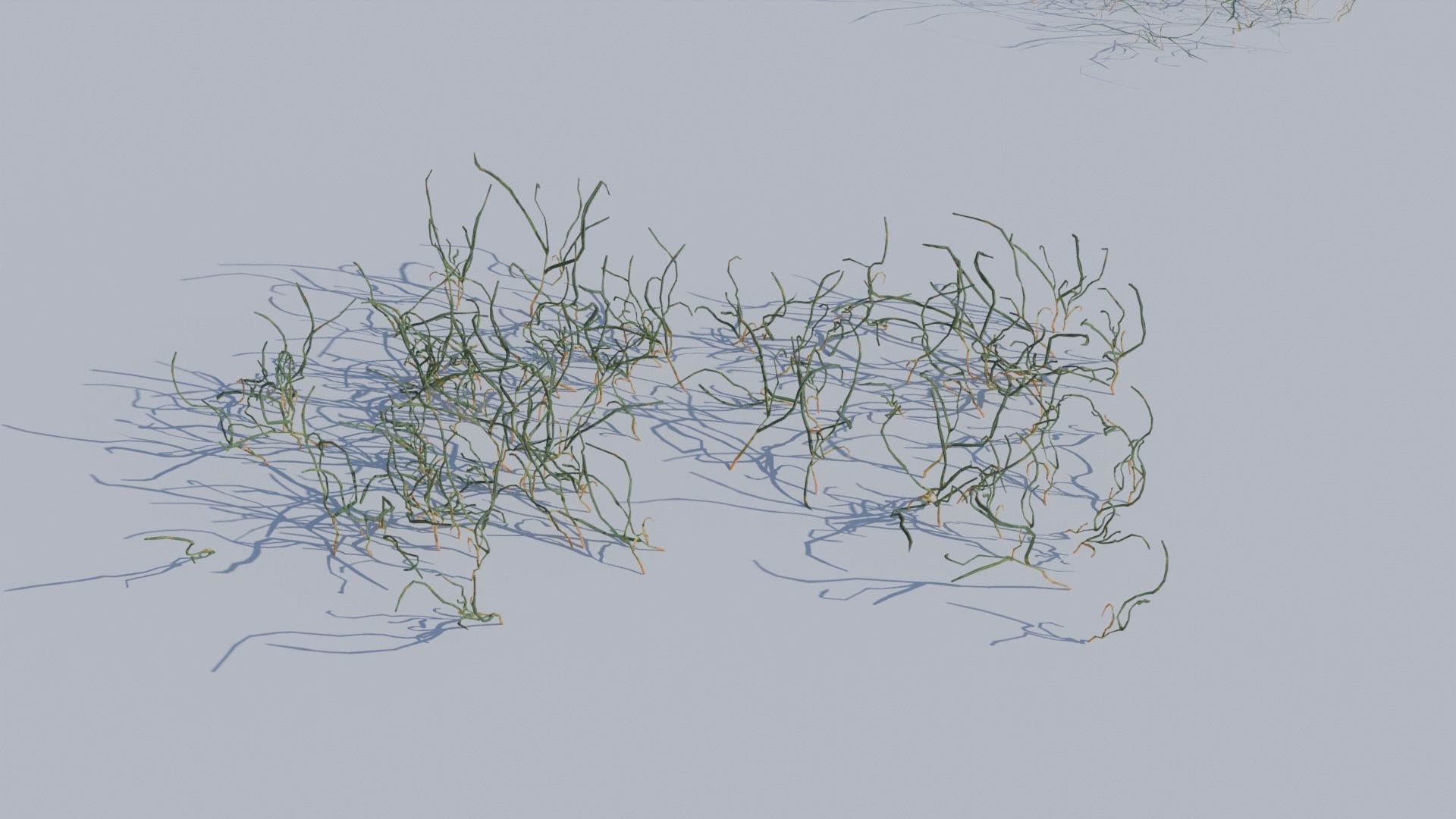 ALL SIZES OF GRASS 3D MODEL 3D model_10