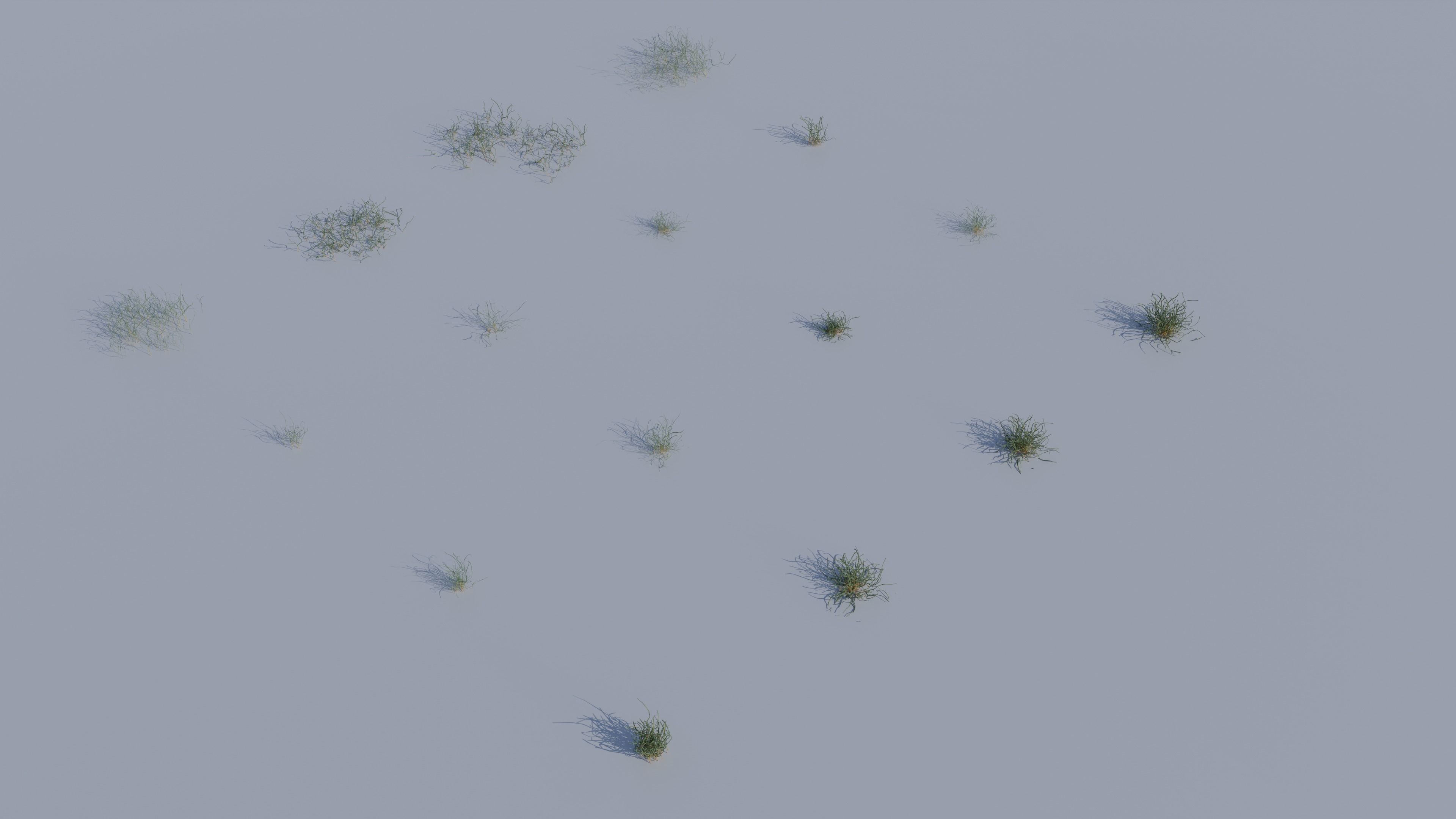 ALL SIZES OF GRASS 3D MODEL 3D model_5