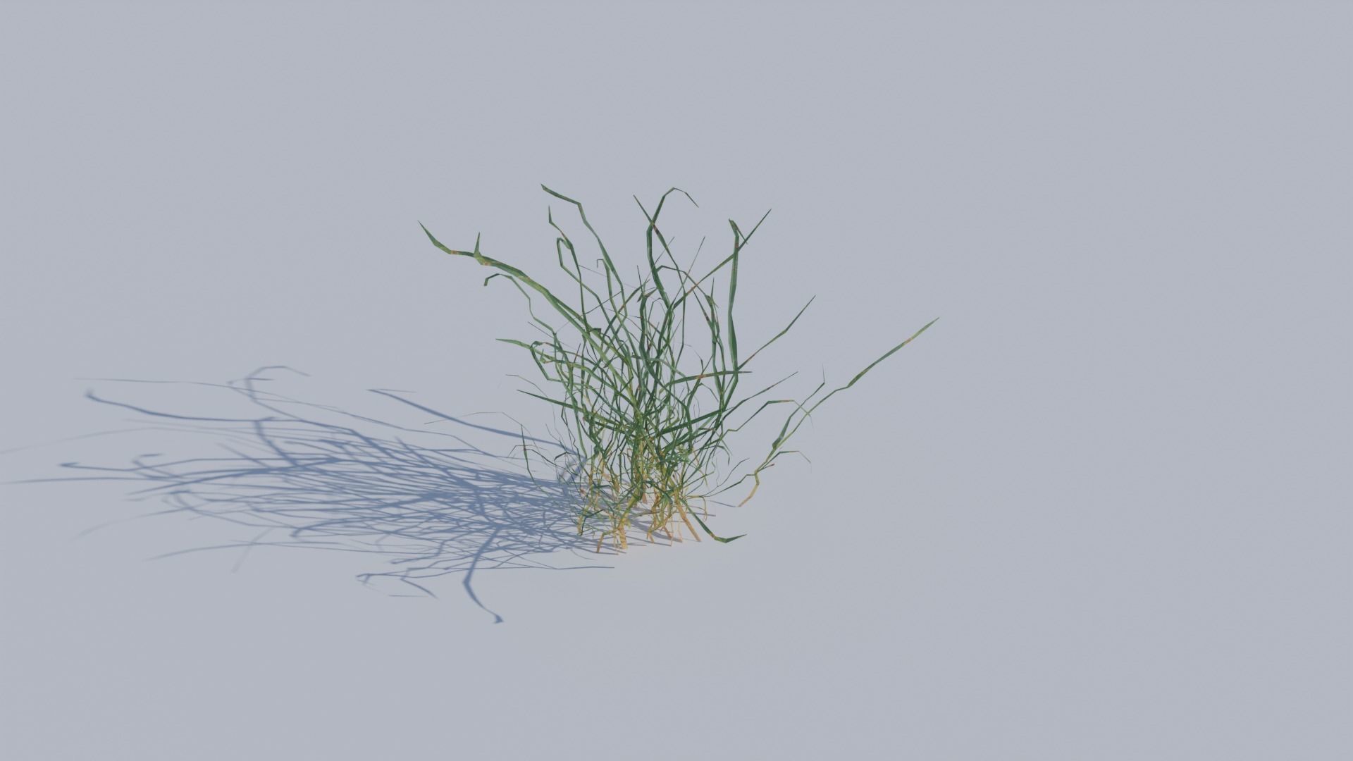 ALL SIZES OF GRASS 3D MODEL 3D model_7