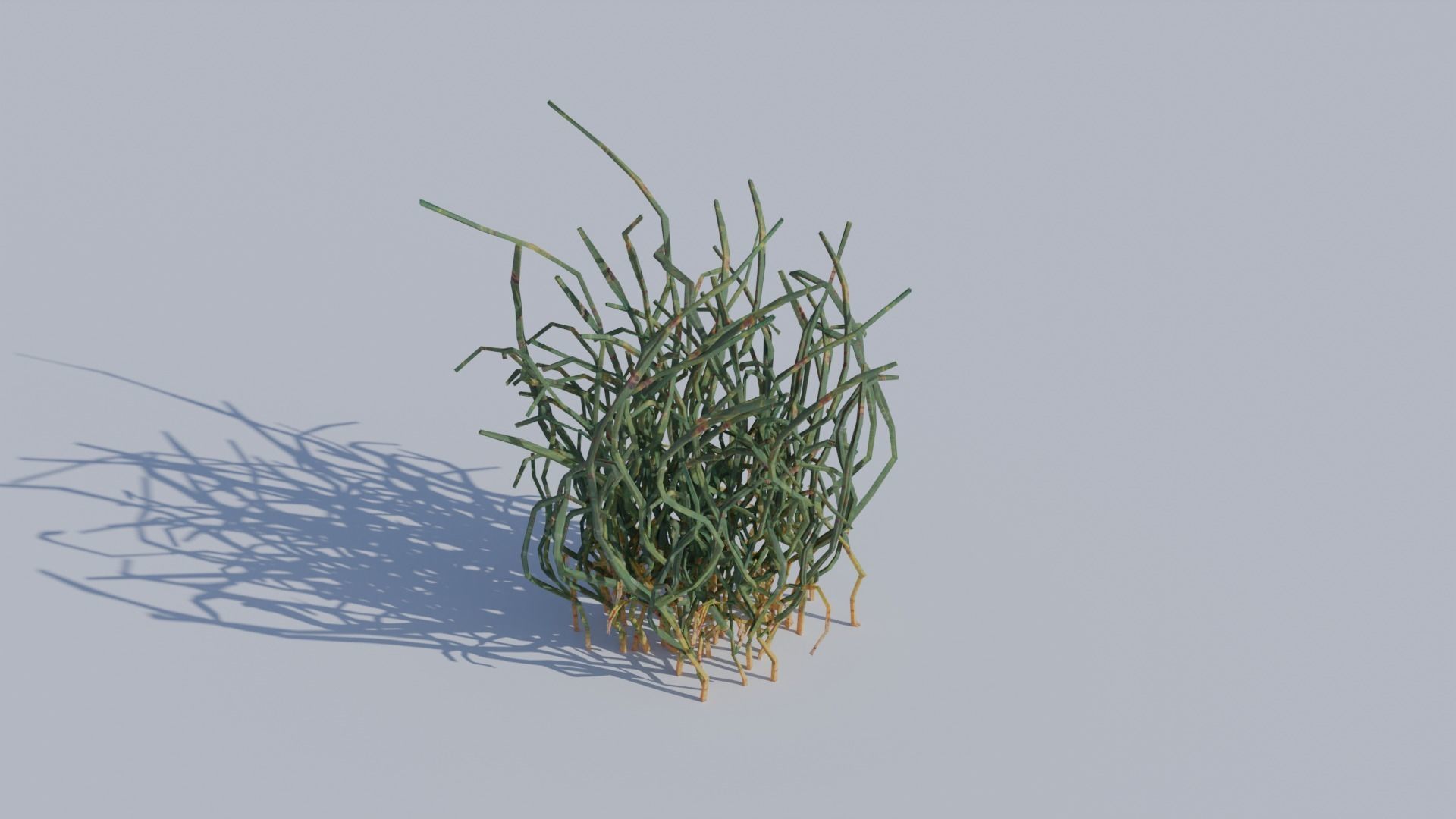 ALL SIZES OF GRASS 3D MODEL 3D model_1
