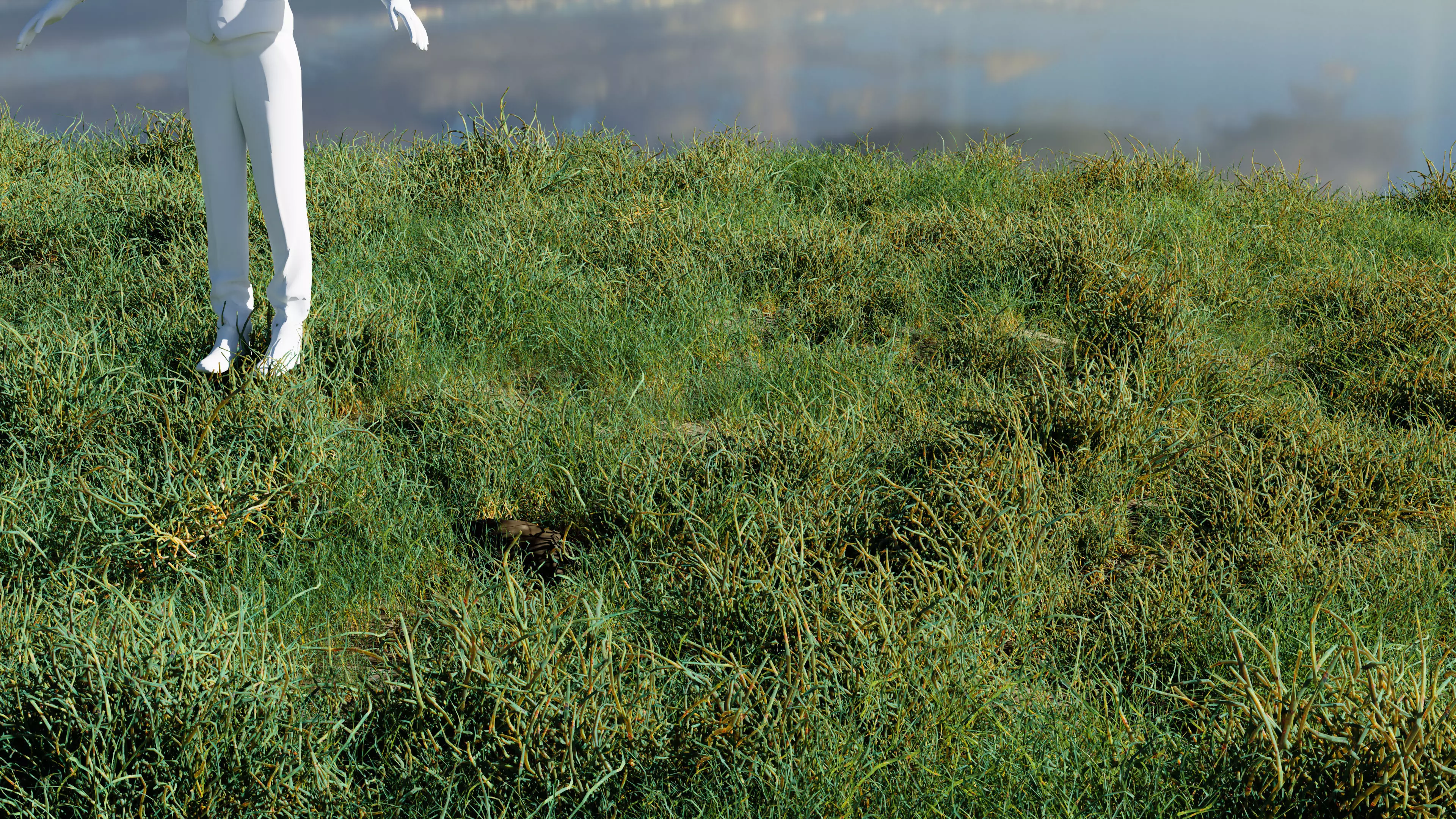 ALL SIZES OF GRASS 3D MODEL 3D model_0