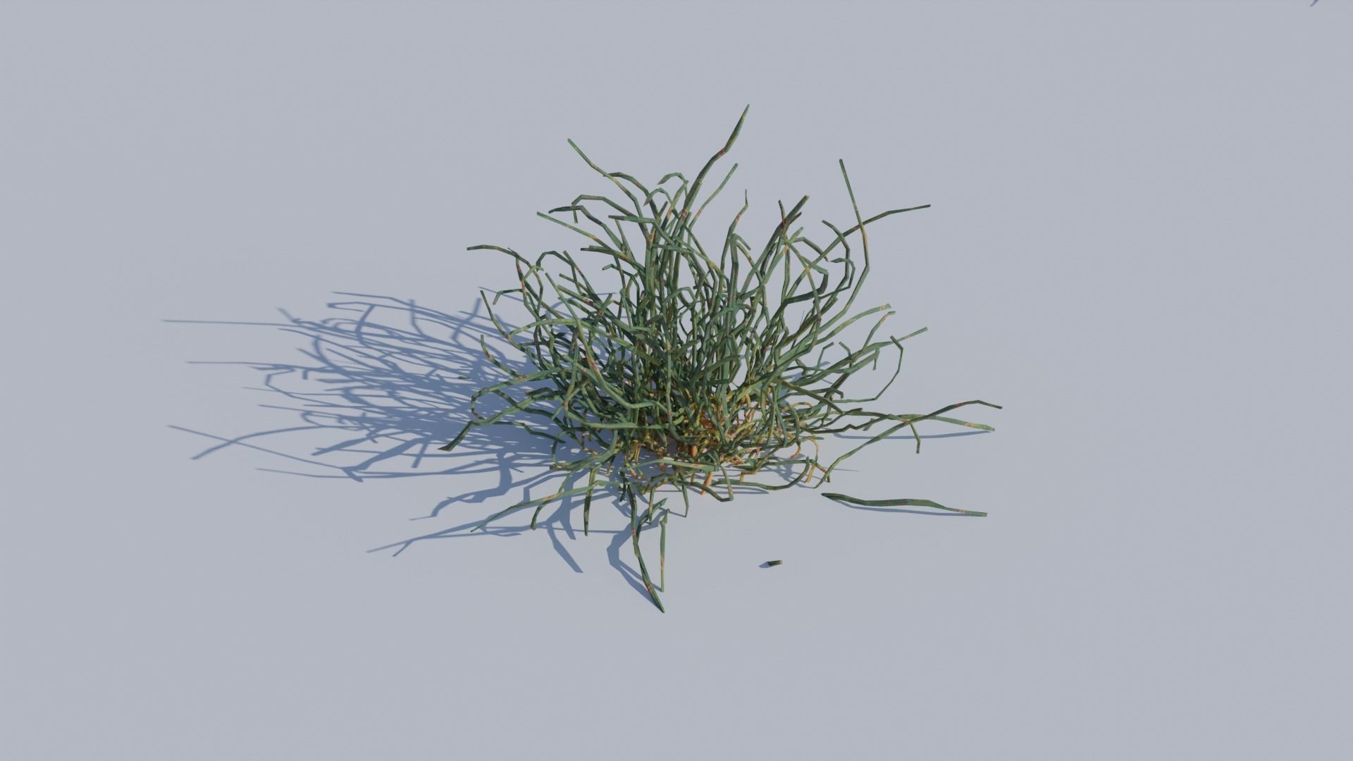 ALL SIZES OF GRASS 3D MODEL 3D model_2