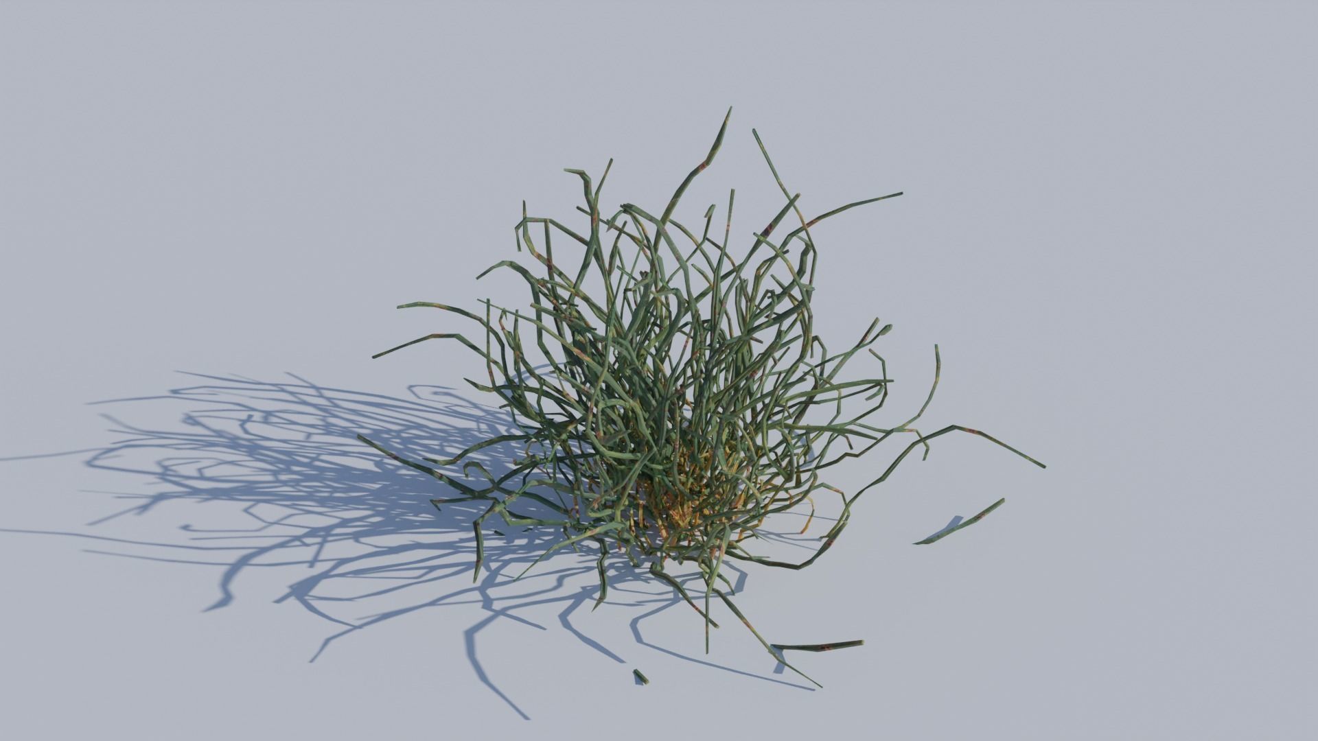 ALL SIZES OF GRASS 3D MODEL 3D model_11