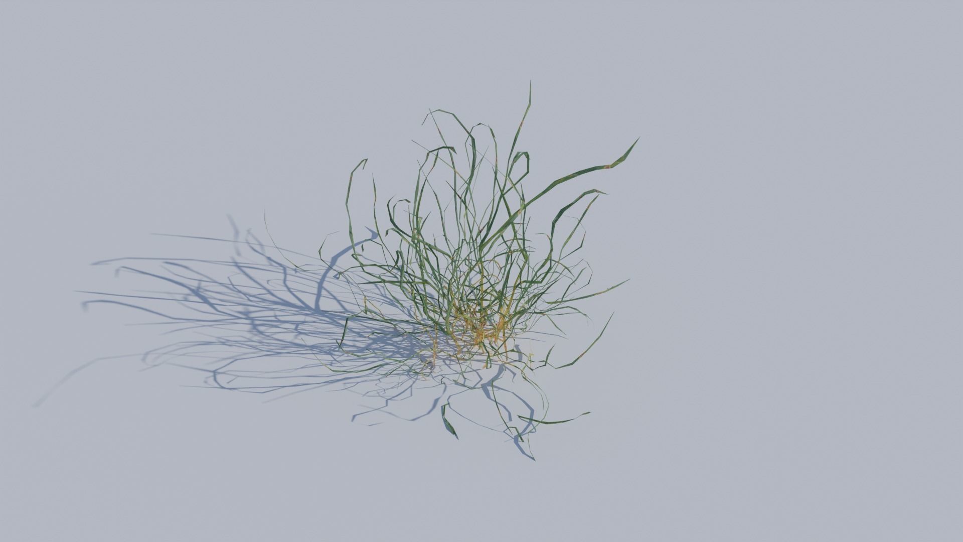 ALL SIZES OF GRASS 3D MODEL 3D model_8