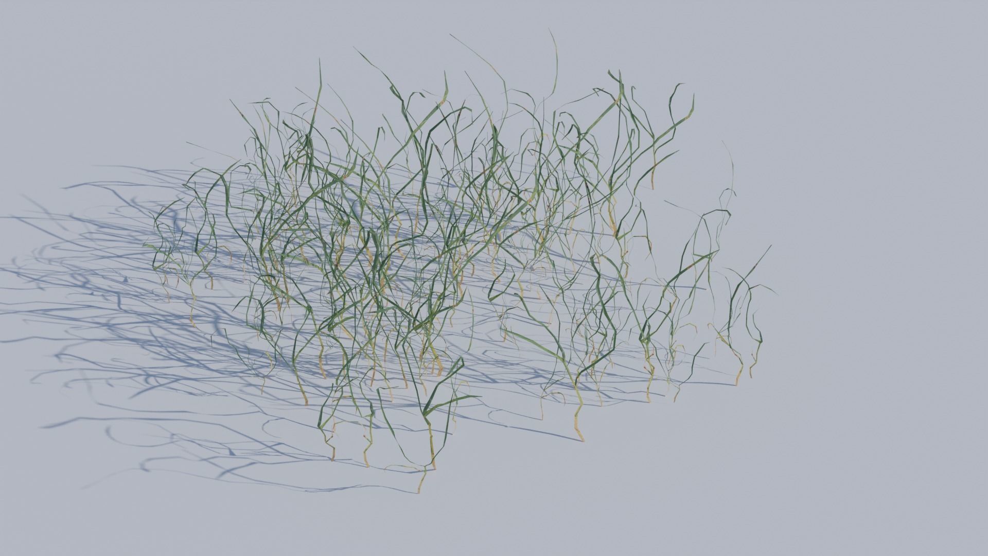 ALL SIZES OF GRASS 3D MODEL 3D model_9