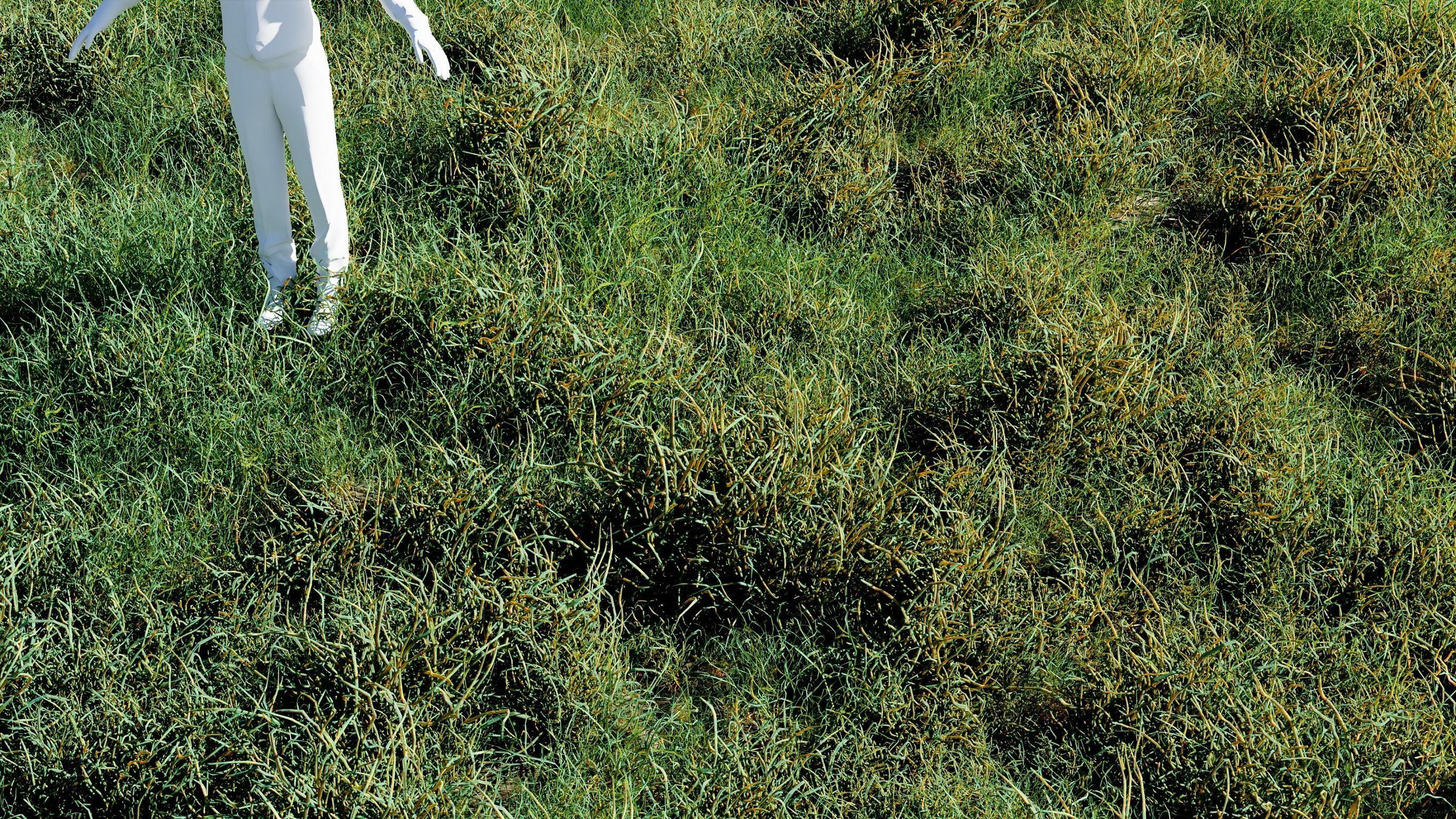 ALL SIZES OF GRASS 3D MODEL 3D model_16