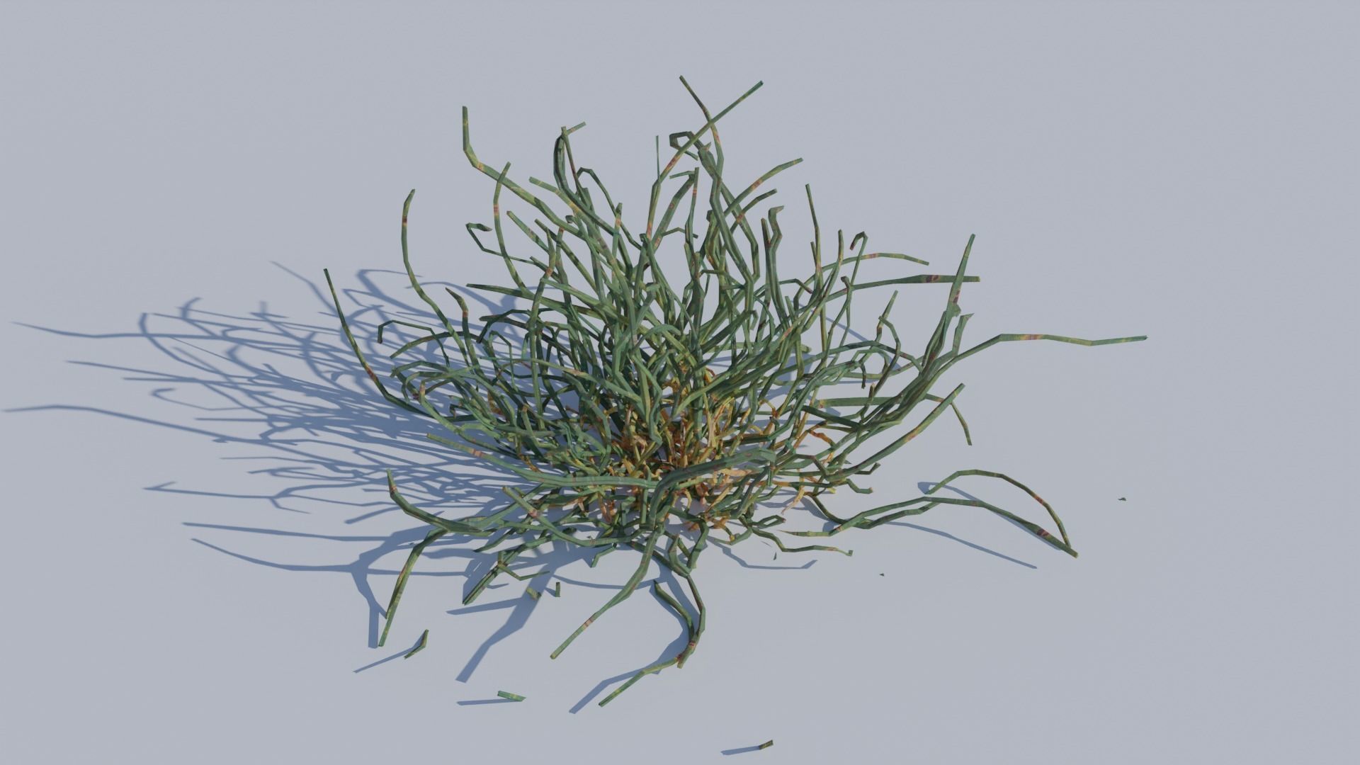 ALL SIZES OF GRASS 3D MODEL 3D model_4