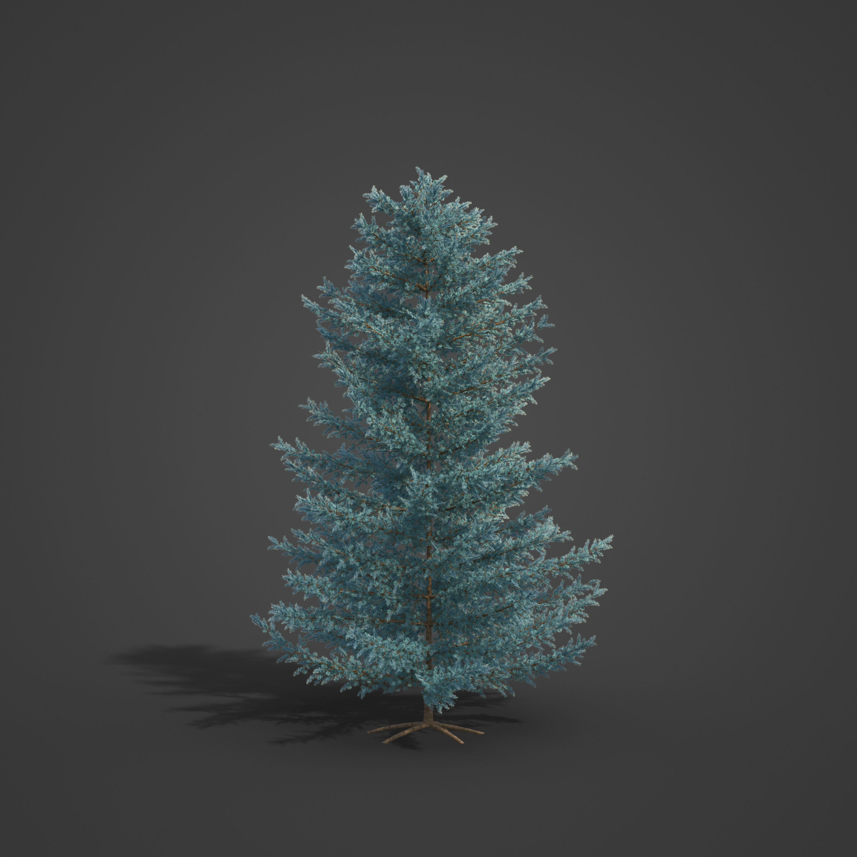 2021 PBR Atlas Cedar Collection - Cedrus Atlantica 3D model_4